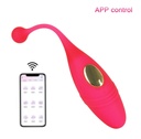 Vibrador en forma de huevo control remoto con el celular