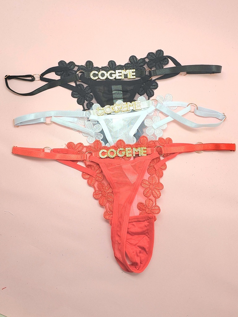 Panty Frases