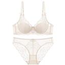 Panty Sensuel