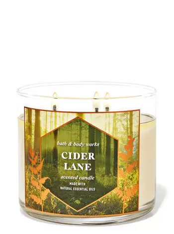 Bath &amp; Body Works Candelas Cinder Lane