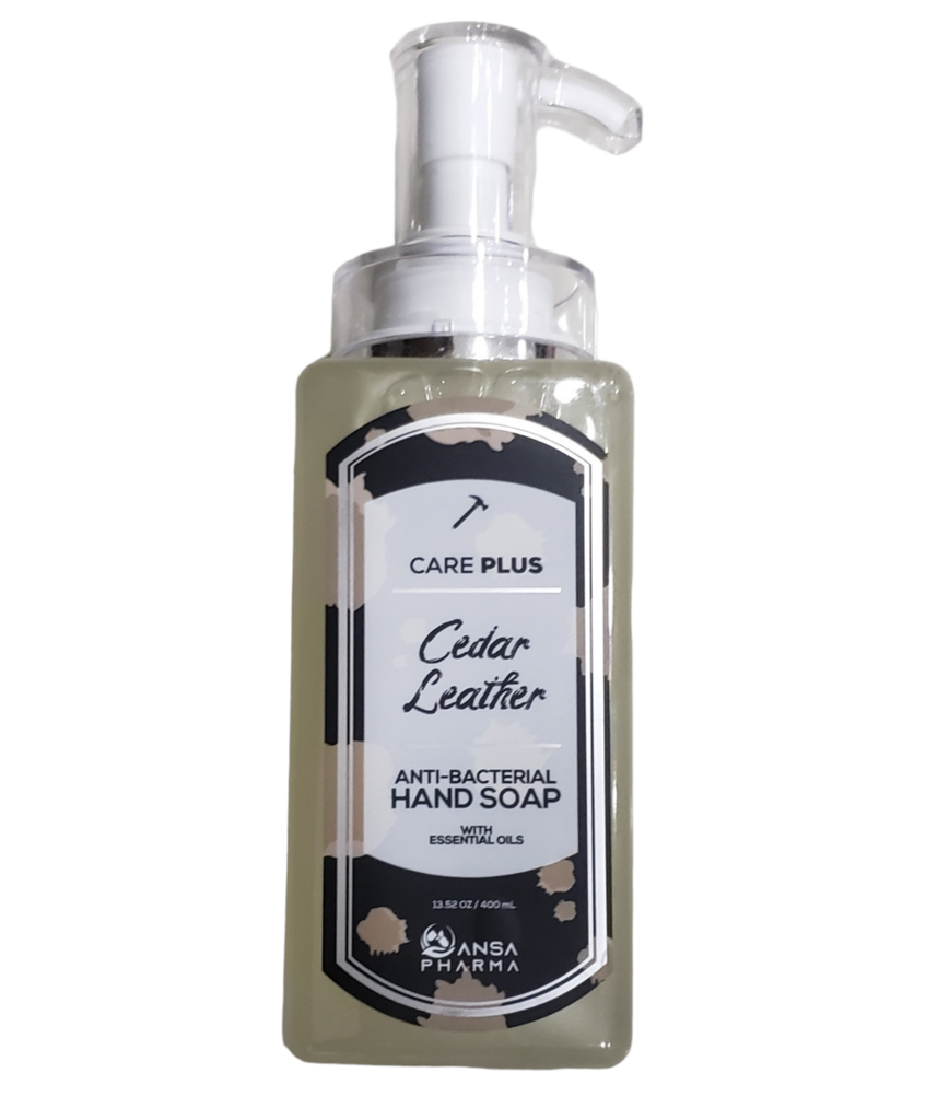 Jabon de mano care plus anti-bacterial cedar leather