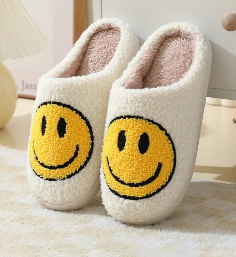 Pantuflas de dibujos animados