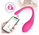 Vibrador en forma de huevo con control remoto con el celular