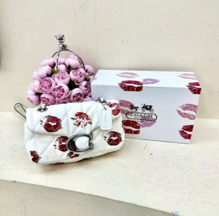 Carteras Beso Coach (copia)