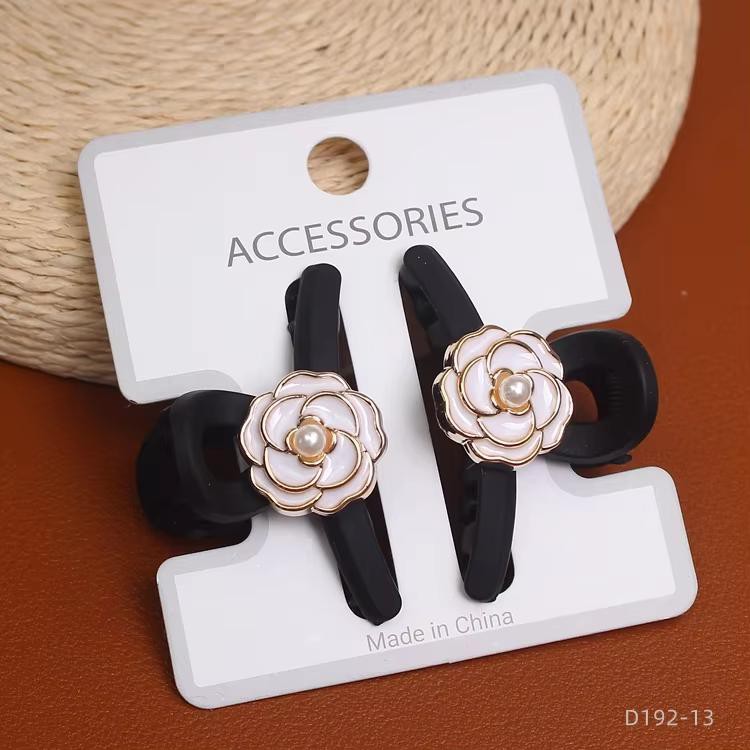 Accesorio de Pelo Set Gancho Variado