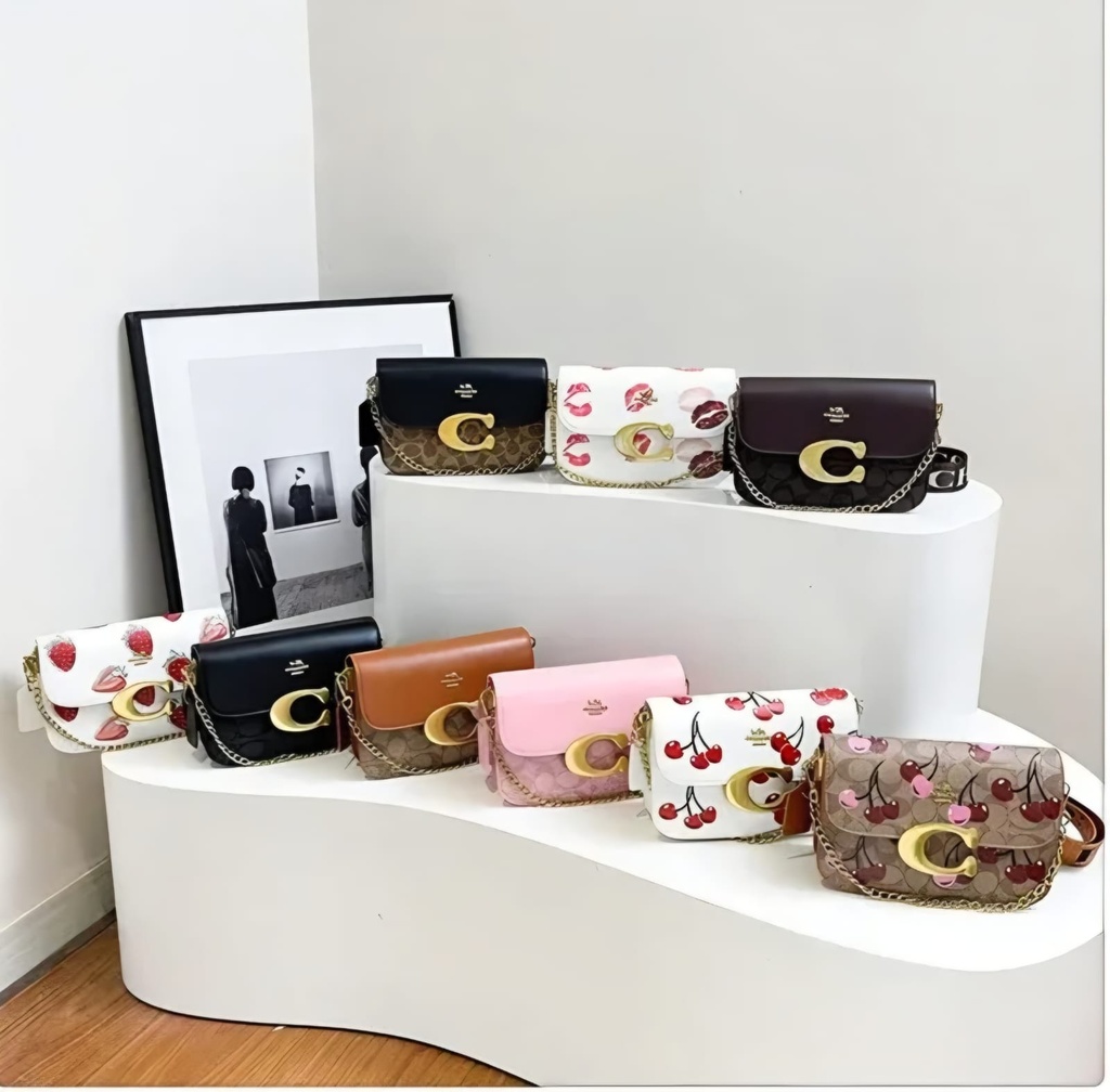 Cartera Coach #33336