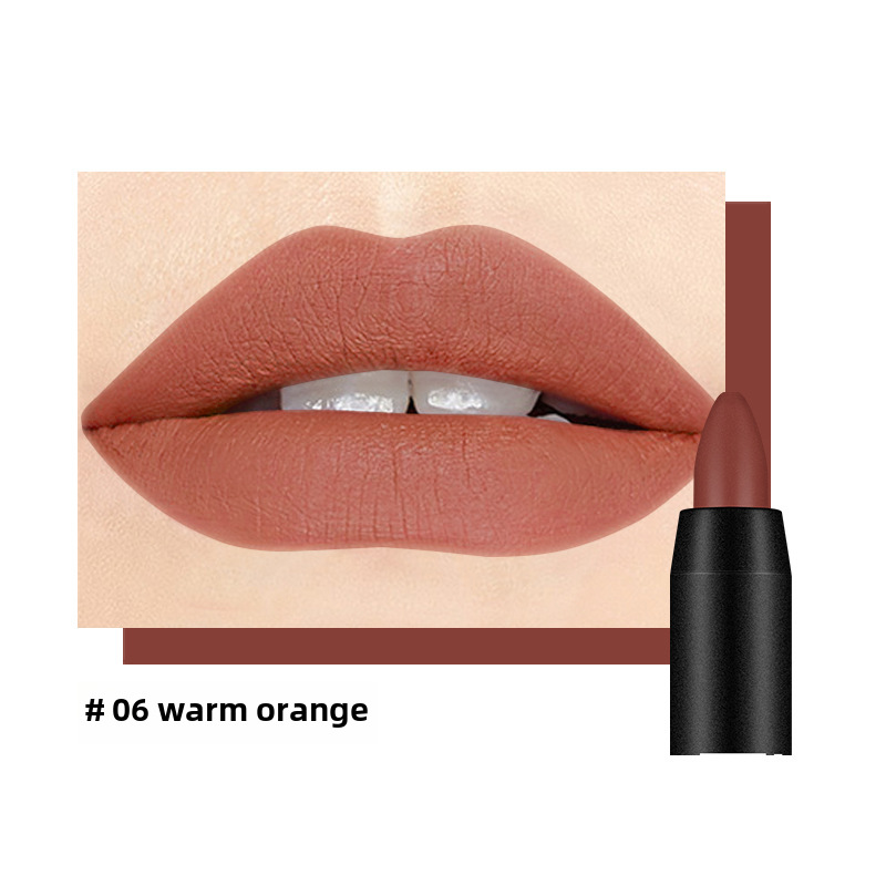 Lápiz labial mate. (#06 WARM ORANGE)