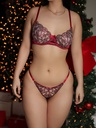 Lenceria Sexy