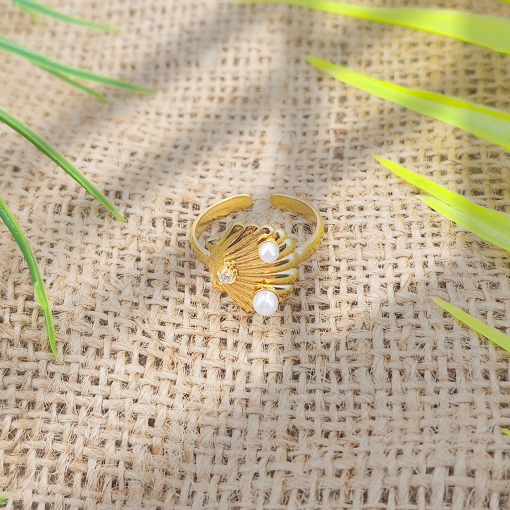 Anillo Acero