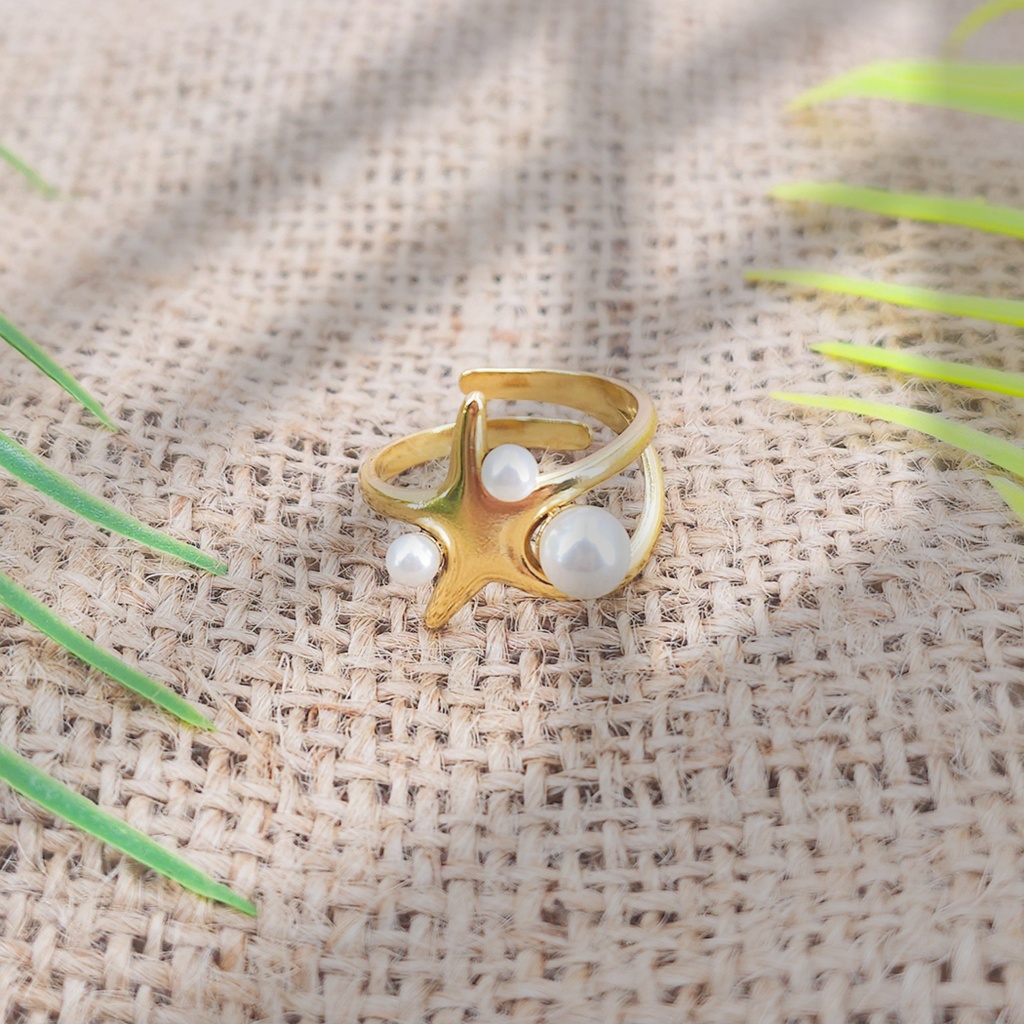 Anillo Acero