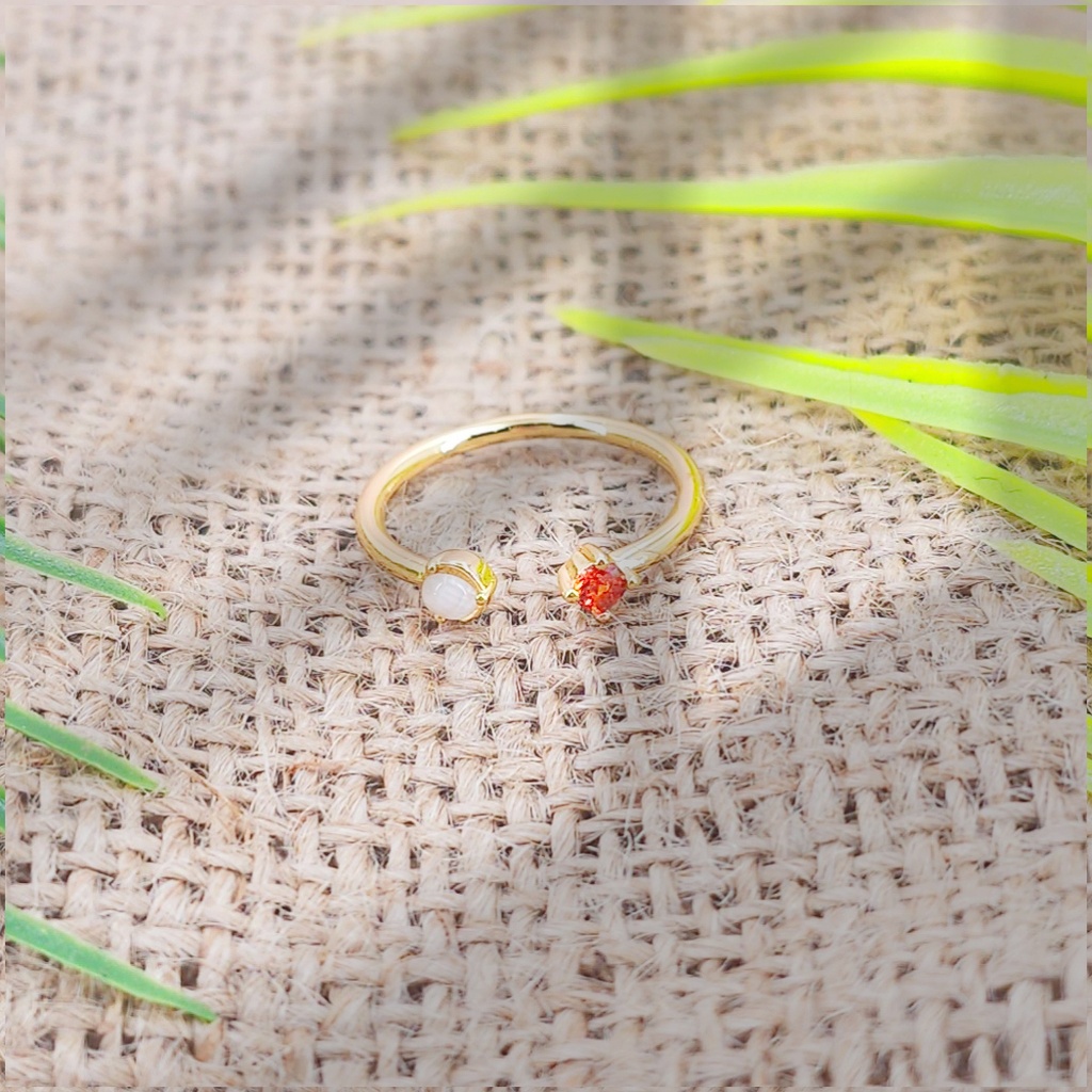 Anillo Acero