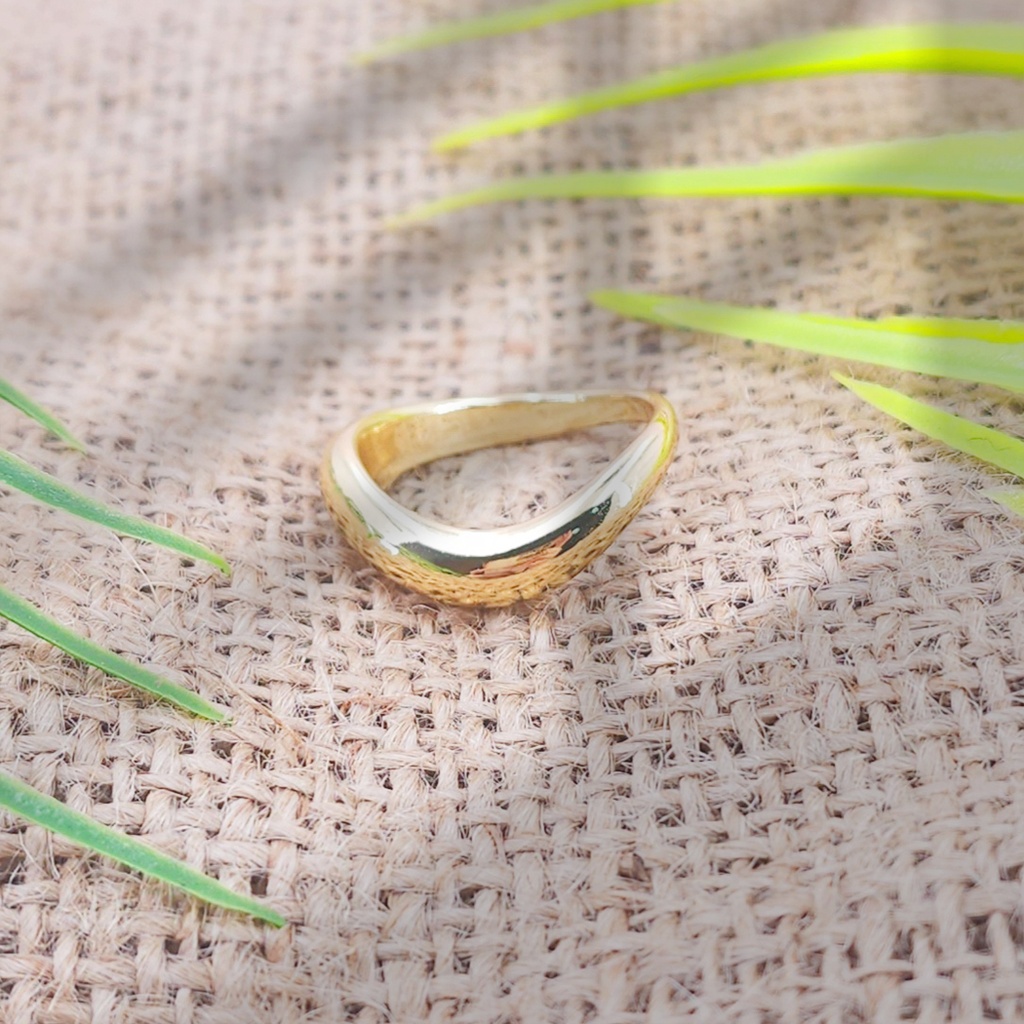Anillo Acero