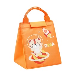 Bolso Térmico Para Almacenar