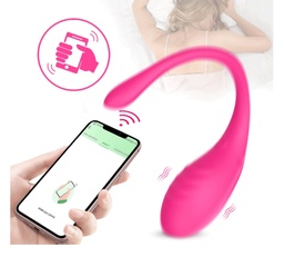 [348255010595] Vibrador en forma de huevo con control remoto con el celular