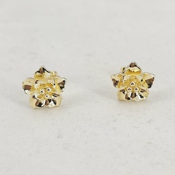 Aritos Brass